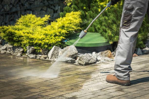 Best Vinyl Siding Pressure Washing in Los Lunas, NM